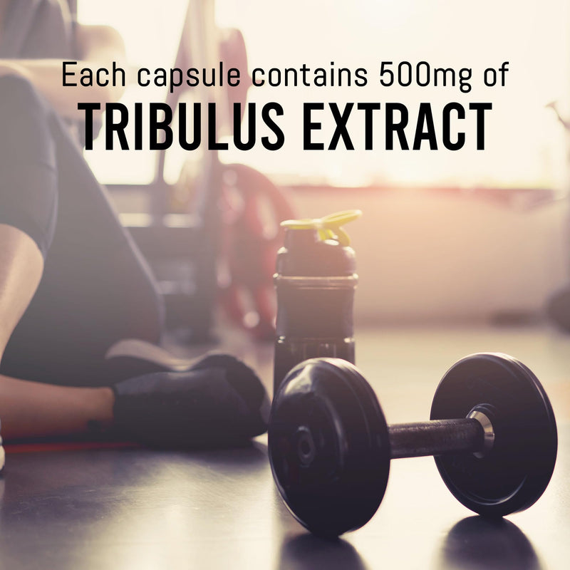 Tribulus Terrestris (180 Capsules)