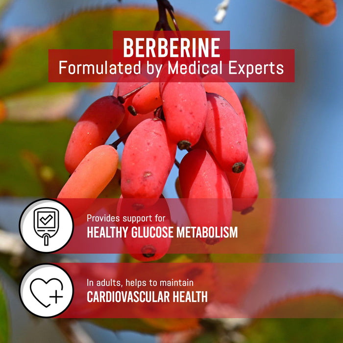 Berberine (90 Capsules)
