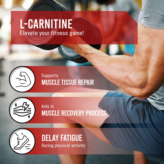 L-Carnitine Tartrate (180 Capsules)